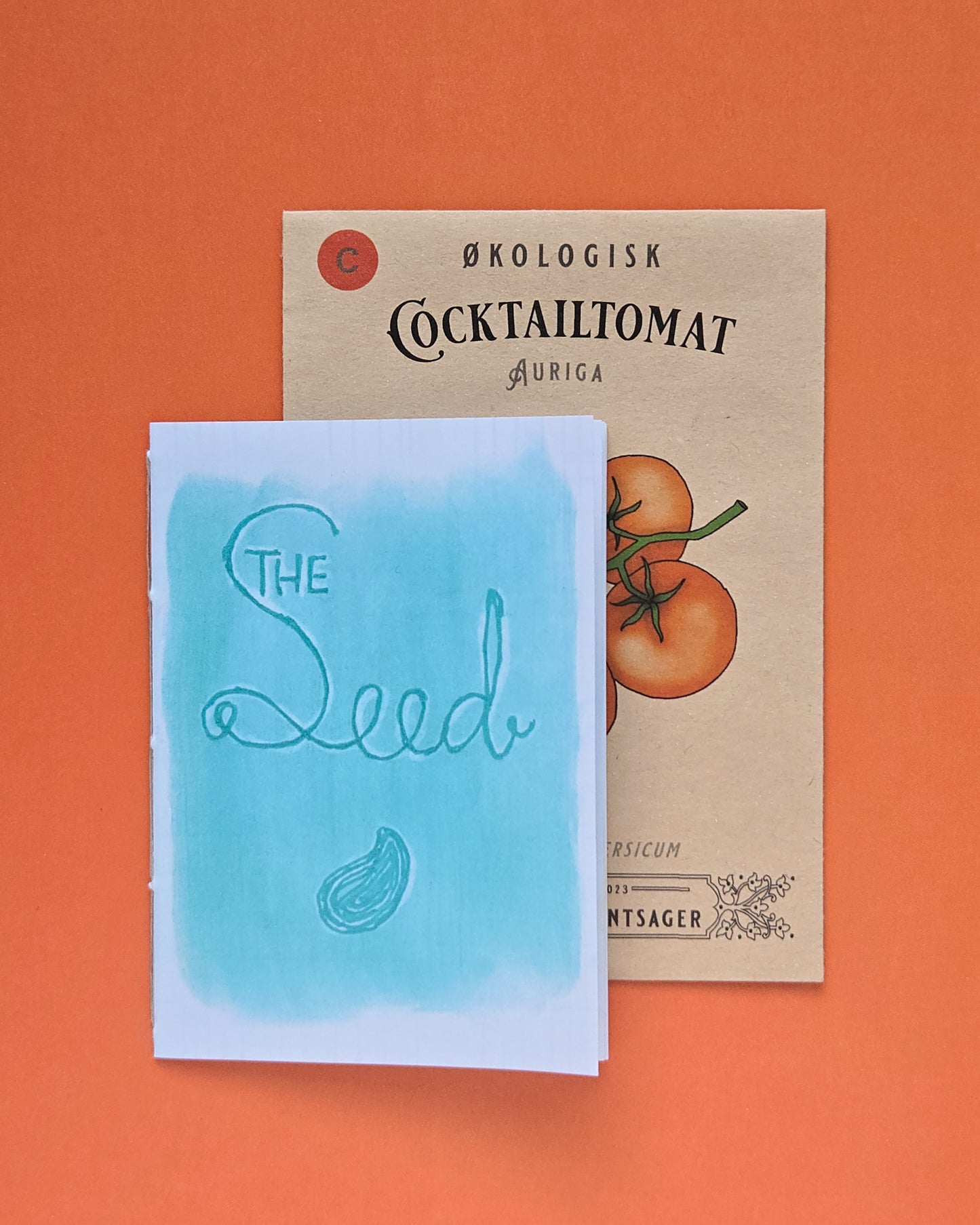 The Seed Zine