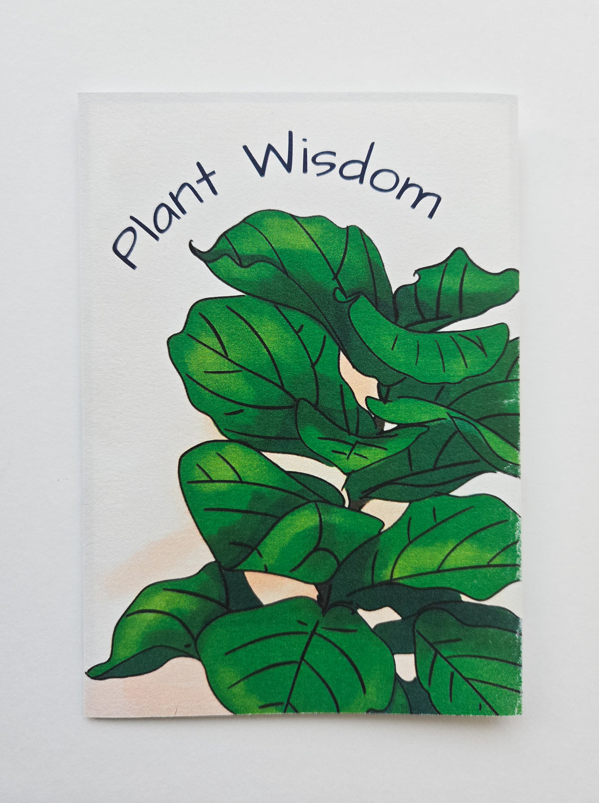 Plant Wisdom Zine